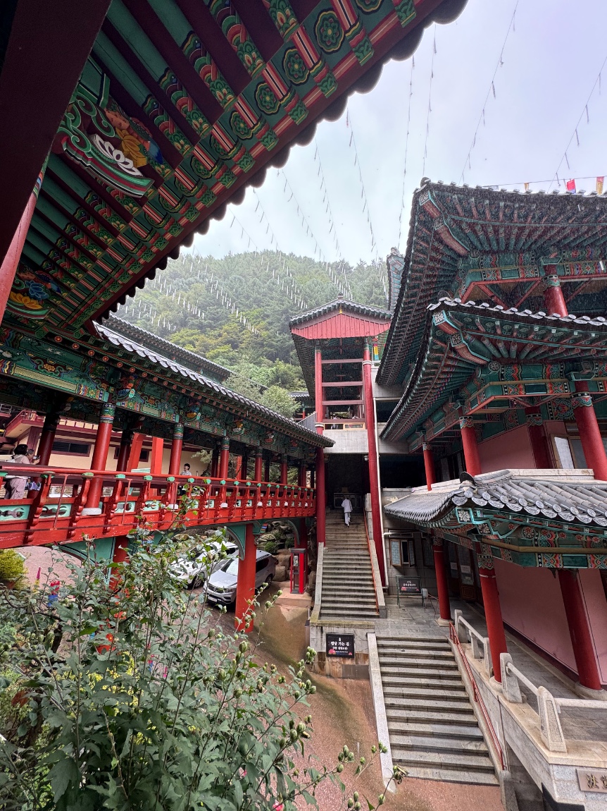 단양 당일여행 후기 