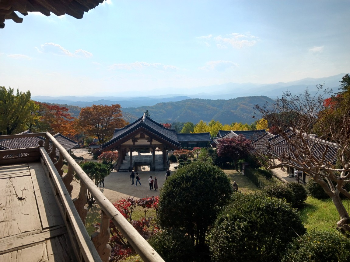 2025년11월4일 영주(부석사 무섬마을 소수서원)