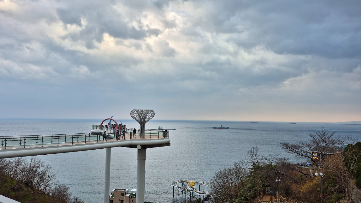 강릉/안목해변/해안선열차/묵호항 당일 여행