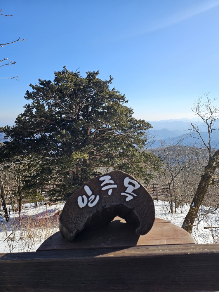 발왕산케이블카