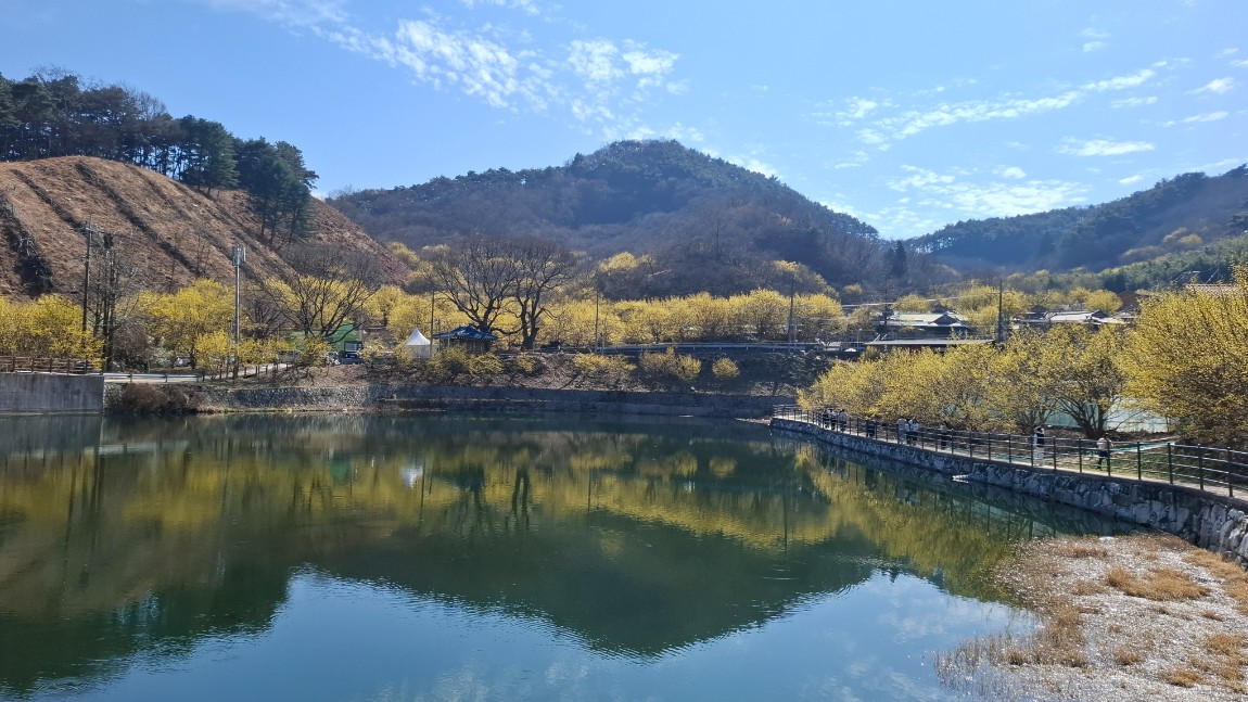 부자기운 의령과 광양 매화 1박2일 여행