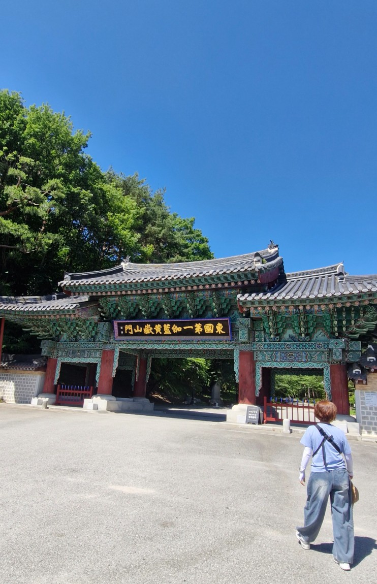 보라빛 향기ㅡ김천
