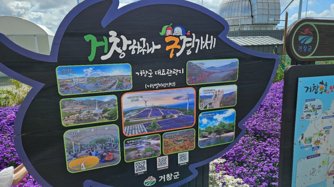 보랏빛 환상의 언덕 거창 감악산 꽃별 여행 강추 또 가고 싶네요 