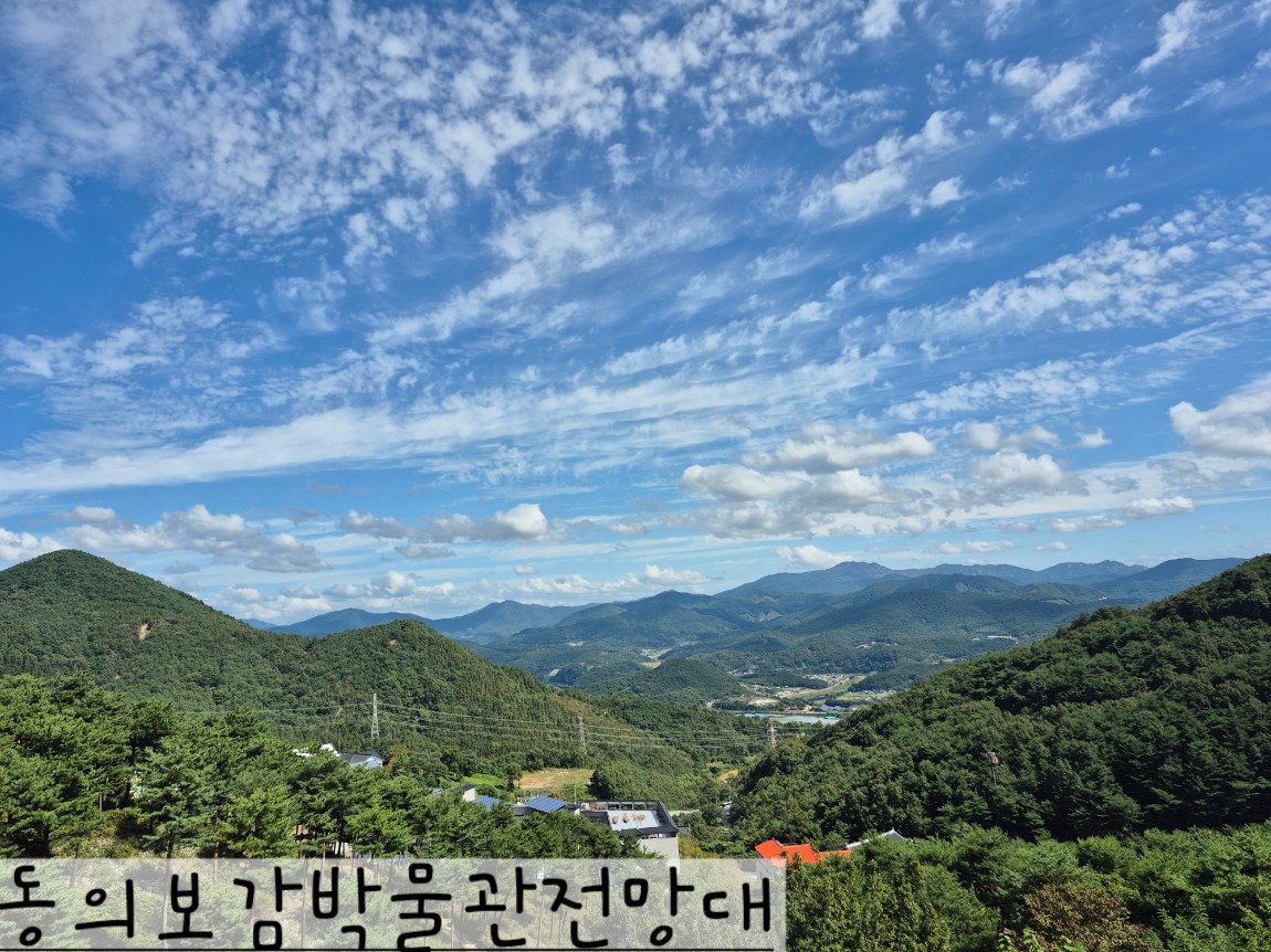 산청 지리산 기 충전 당일 여행