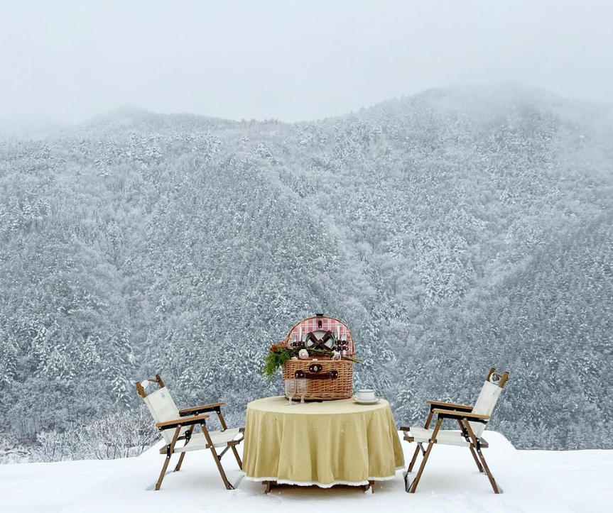 강원도 웰니스 1박2일 여행(해파랑길, 운탄고도 1330, 해안선열차, 몽토랑산양목장, 태백 자작나무숲)