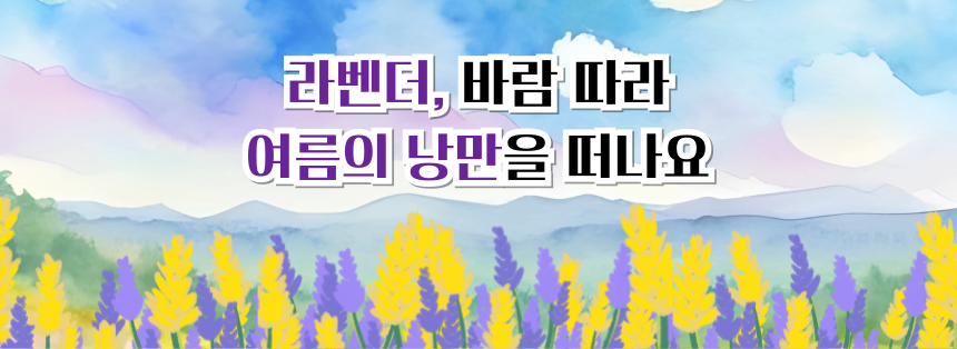 라벤더