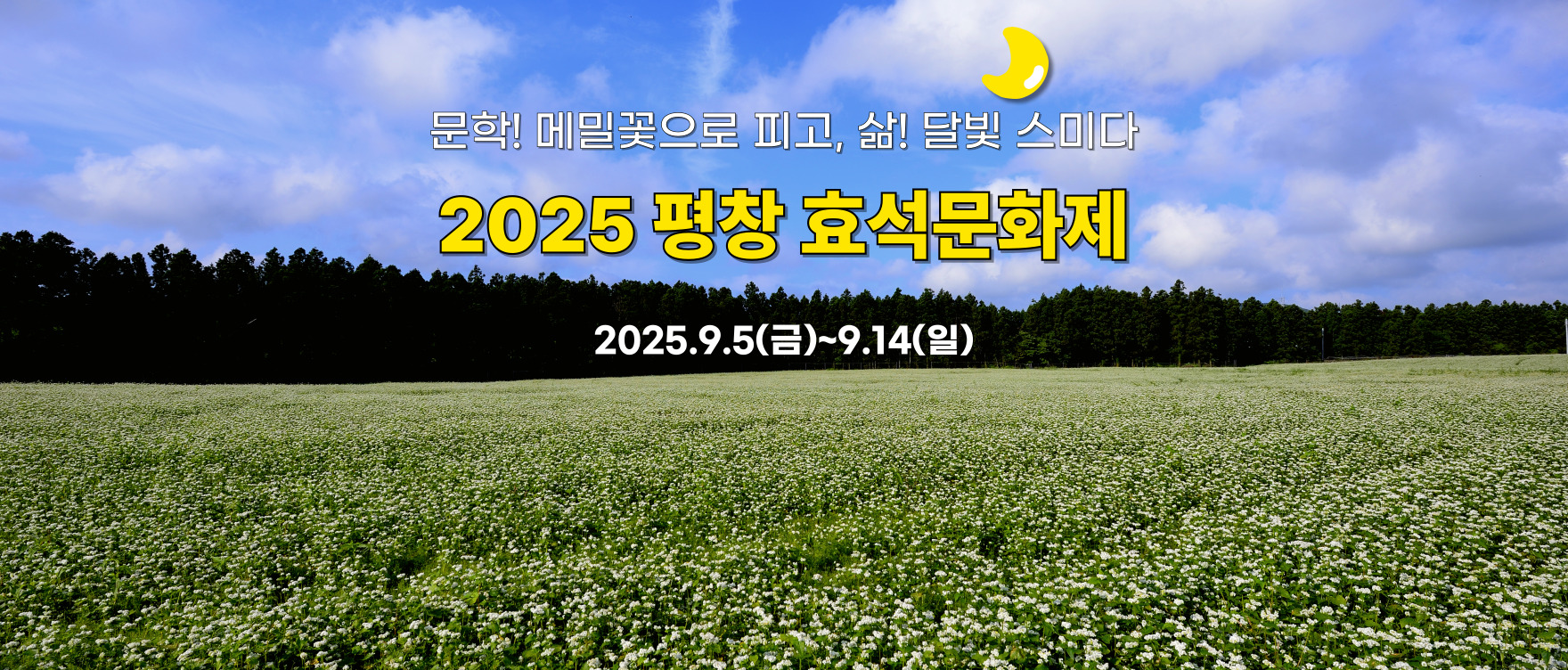 봉평메밀꽃축제