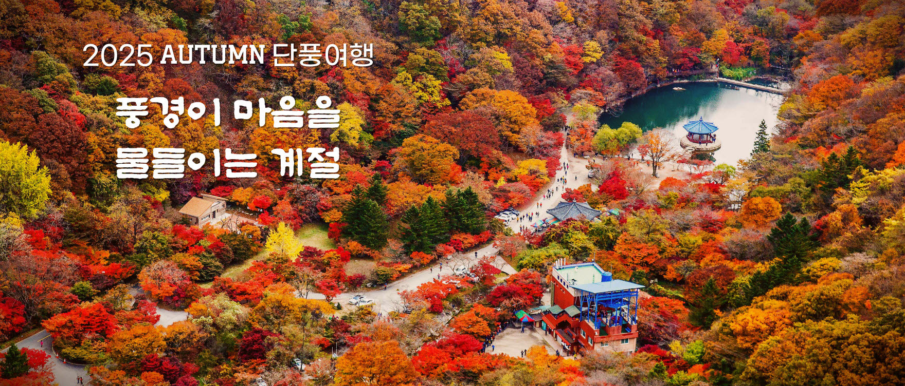 25 가을 단풍여행