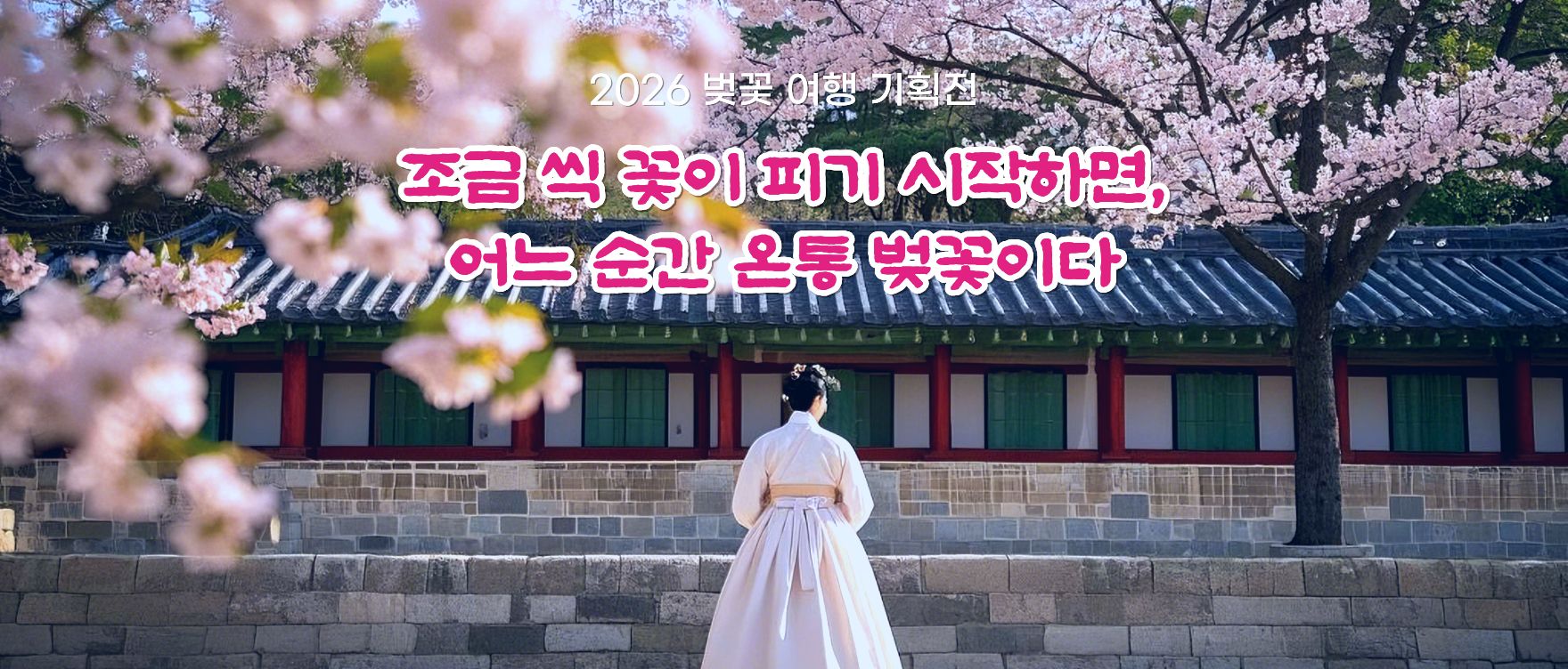 26 벚꽃여행