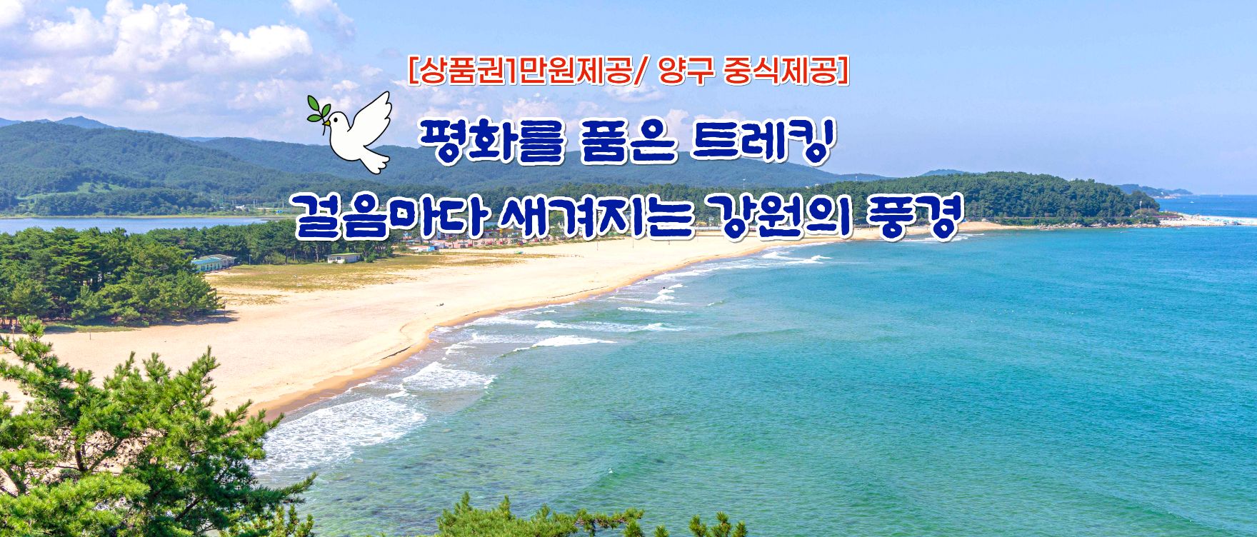 강원트레킹