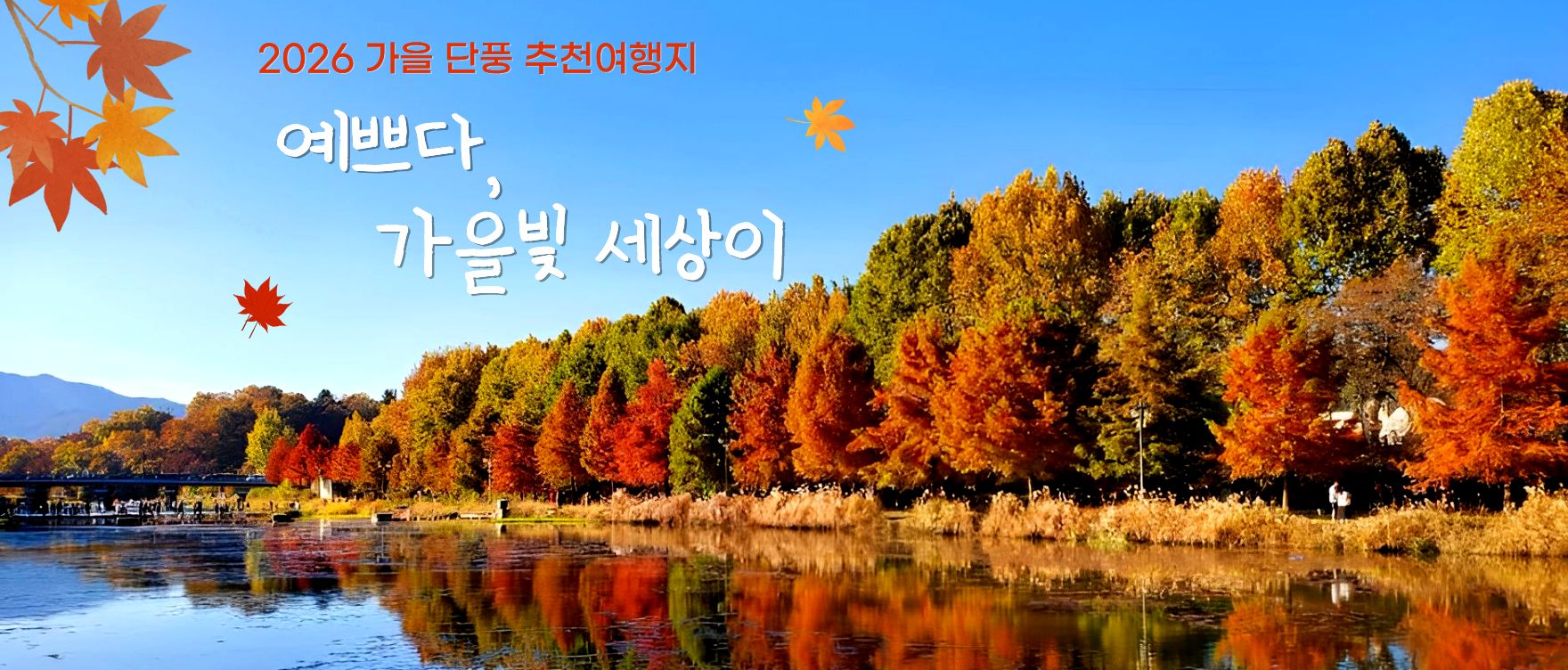 26 가을 단풍