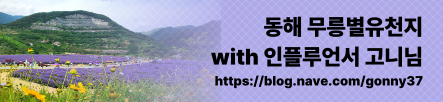 2025 동해무릉별유천지 당일여행