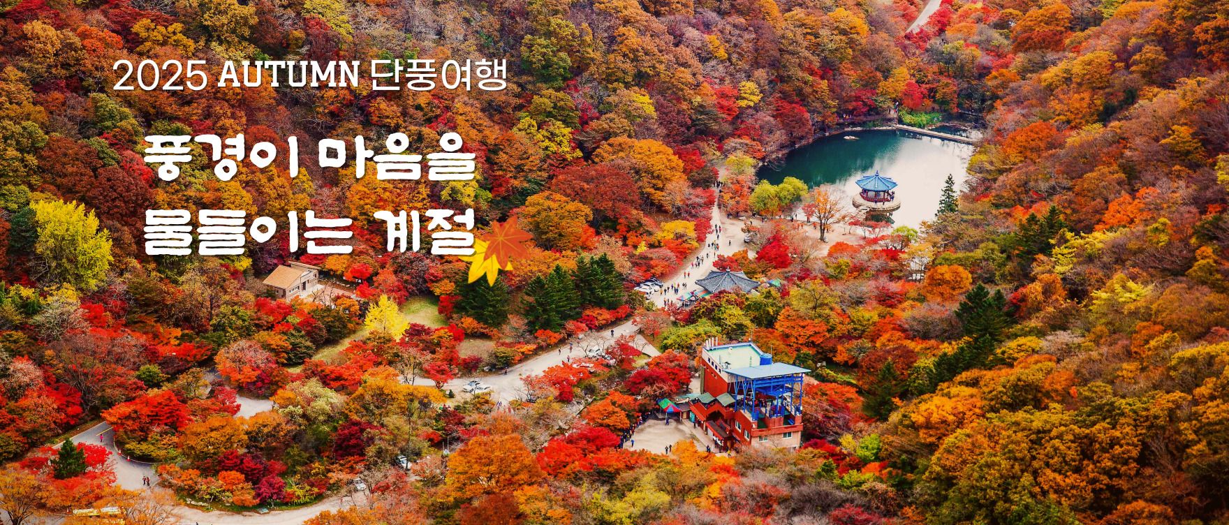25 가을단풍여행