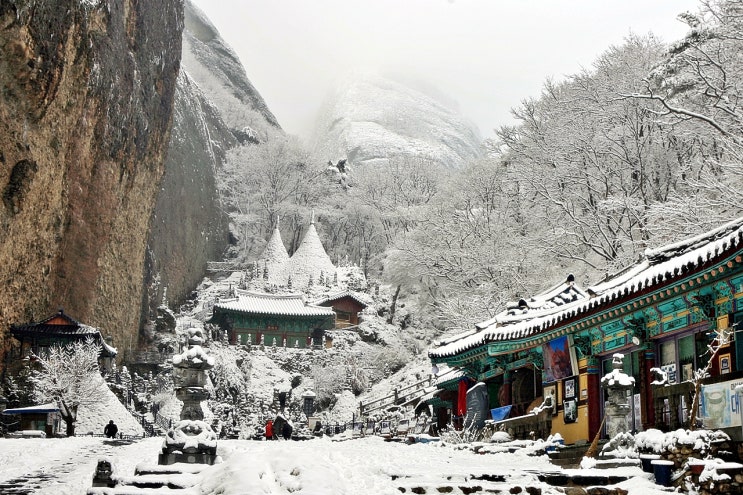 진안 마이산 탑사, 부귀 메타세콰이어길, 전주한옥마을 당일여행