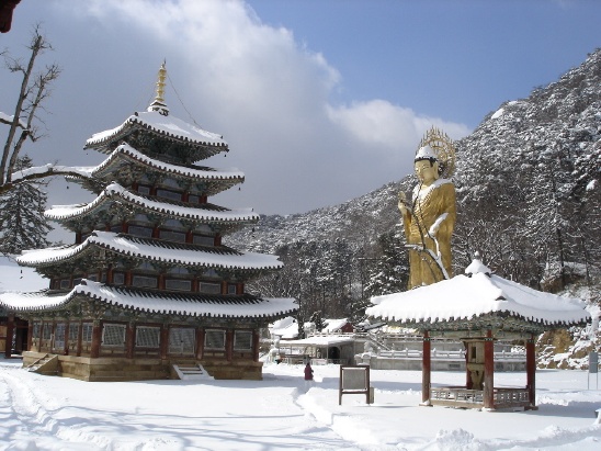 숲테라피! 보은 속리산 법주사, 옥천 화인산림욕장 메타세콰이어숲, 대청호 장계관광지 당일여행